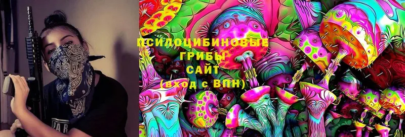 MEGA сайт  Моздок  Галлюциногенные грибы Cubensis 